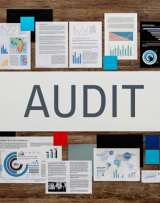 audit-services